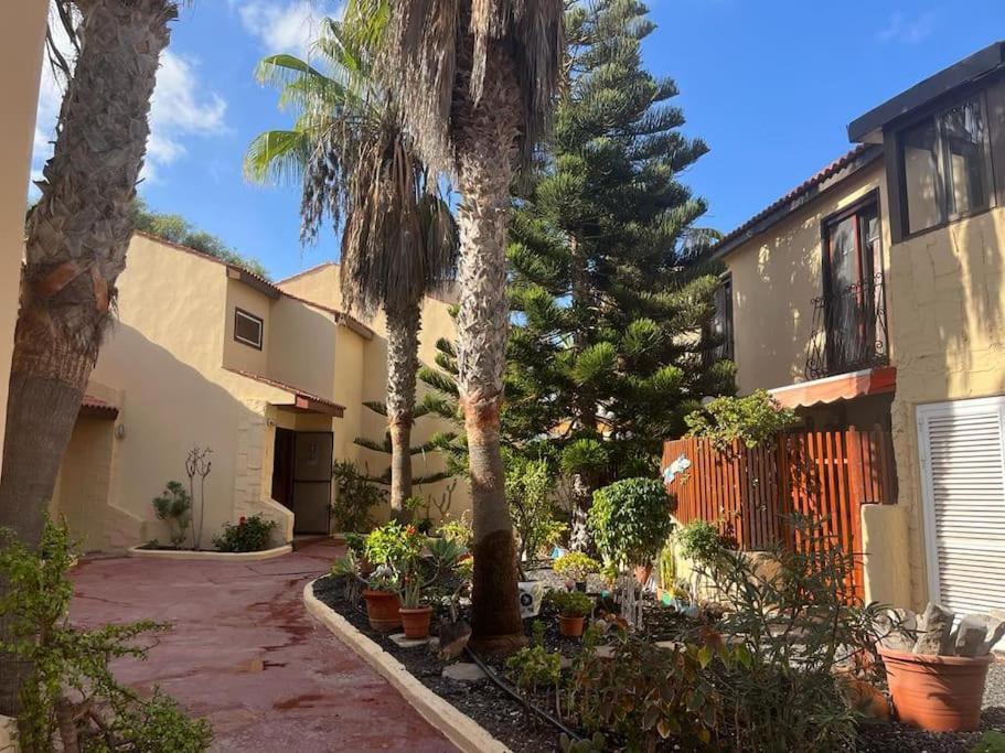 Casa Cactus Paraiso Parque Holandes Kültér fotó