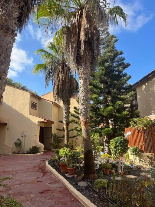 Casa Cactus Paraiso Parque Holandes Kültér fotó