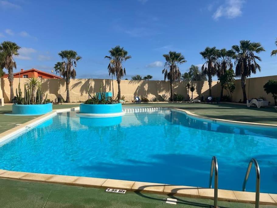 Casa Cactus Paraiso Parque Holandes Kültér fotó